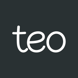TEO Logo