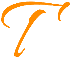Teson Logo