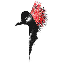 Tessin Logo