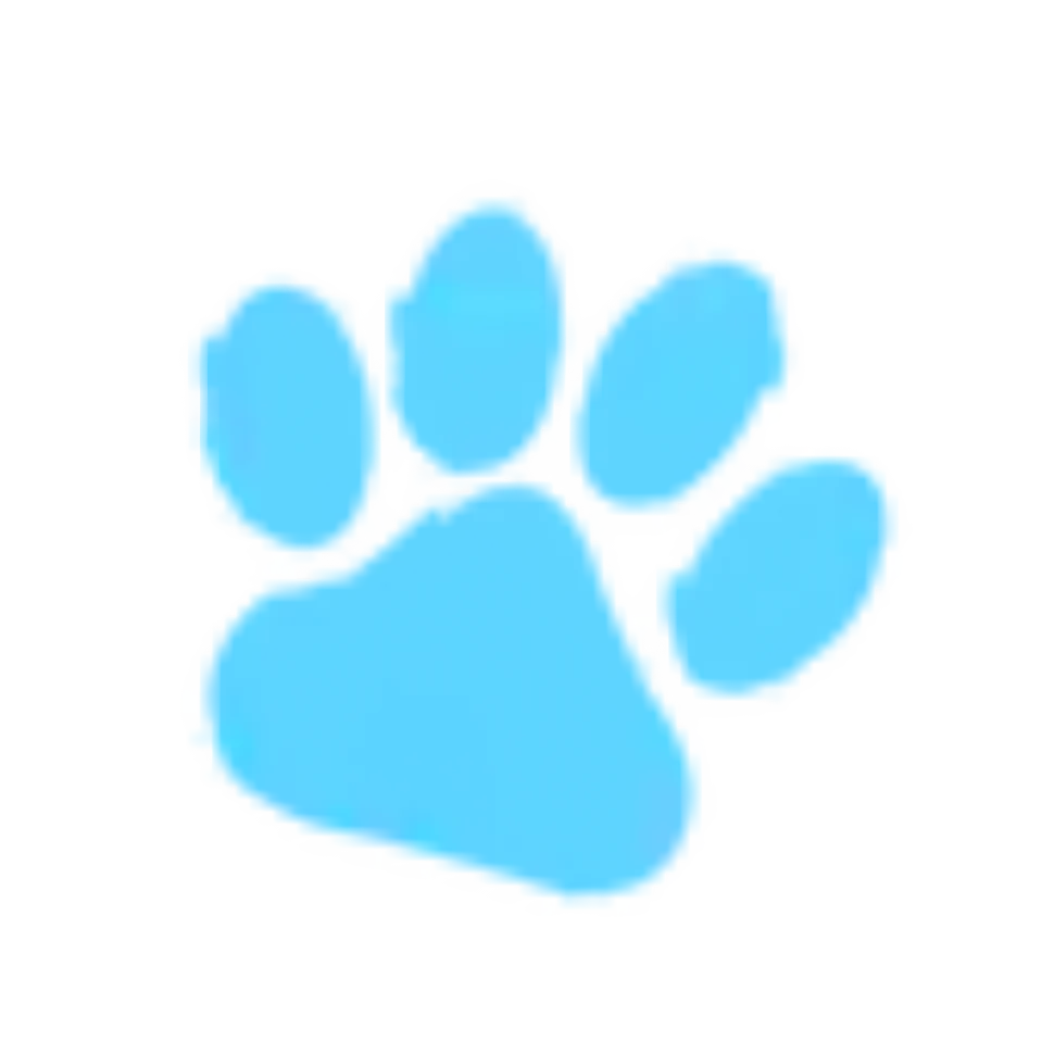 Thedoodlebrush Logo