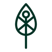 Thegenerationforest Logo