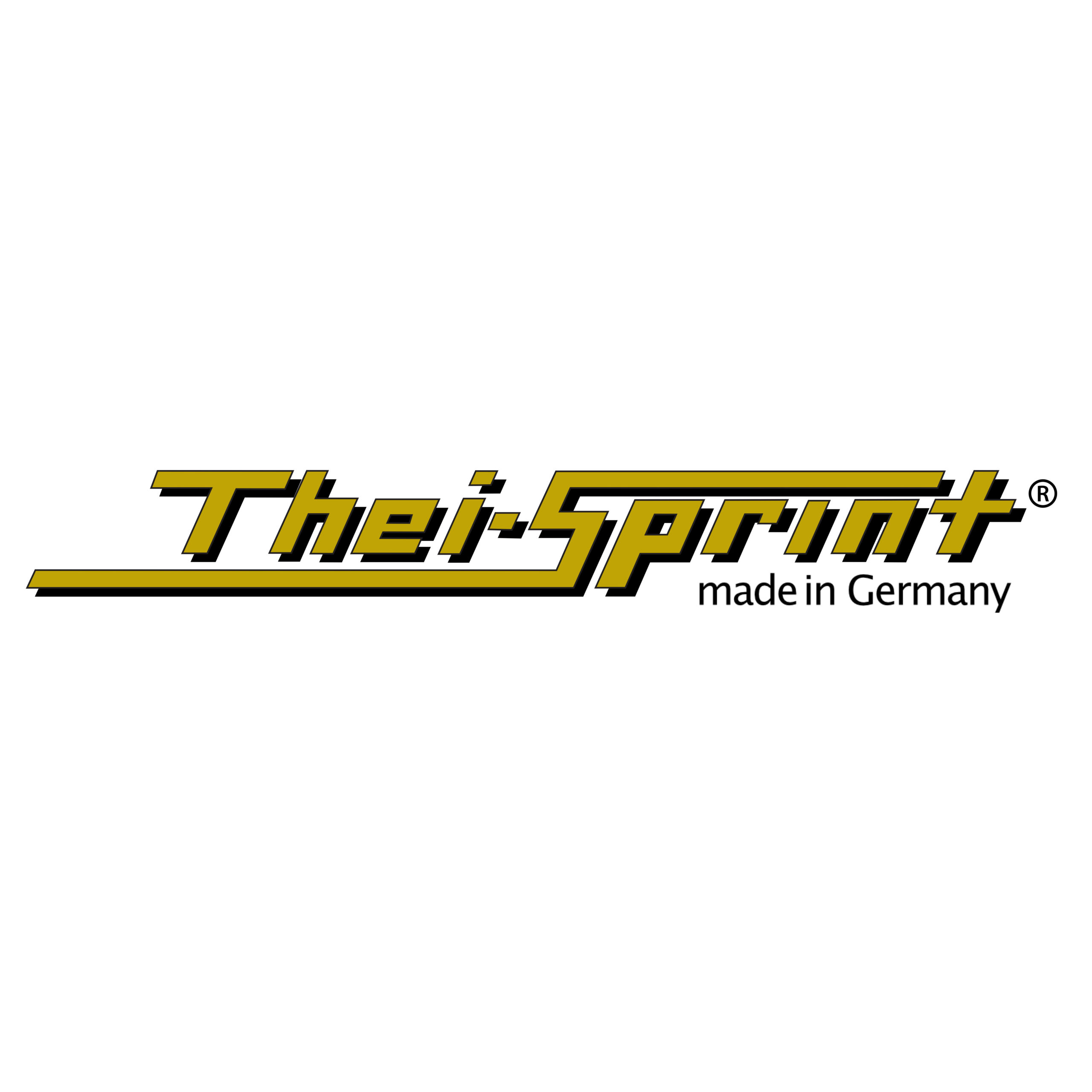 Thei-Sprint Schumann und Kacem GbR Logo