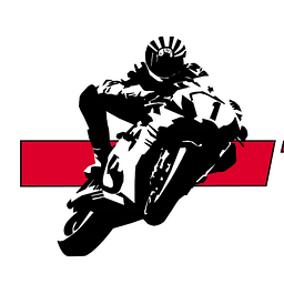 Theo Louwes Motors & Racing Logo
