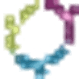 Berg Joachim Logo