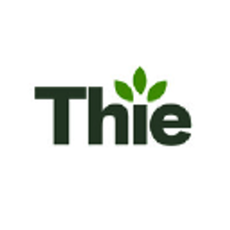 Thie Electronics Logo