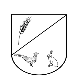 Software Ingenieur Thomas Paulussen Logo