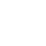ThunderHosting Logo