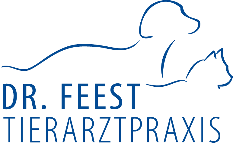 Feest Johannes Dr.rer.medic. Logo