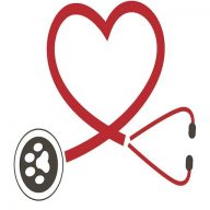 Arndt Susanne Logo