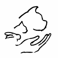 Tierarztpraxis für Osteopathie Dr. Kathrin Meiners Logo