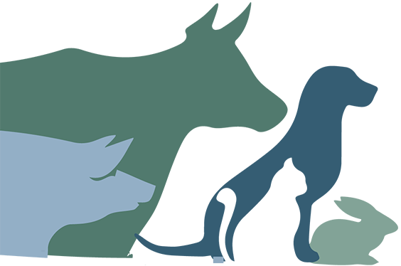 Dierkes Alois Dr., Dierkes Sabine Dr. Tierärzte Logo