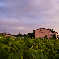 Linden Rainer Weingut Tiliahof Logo