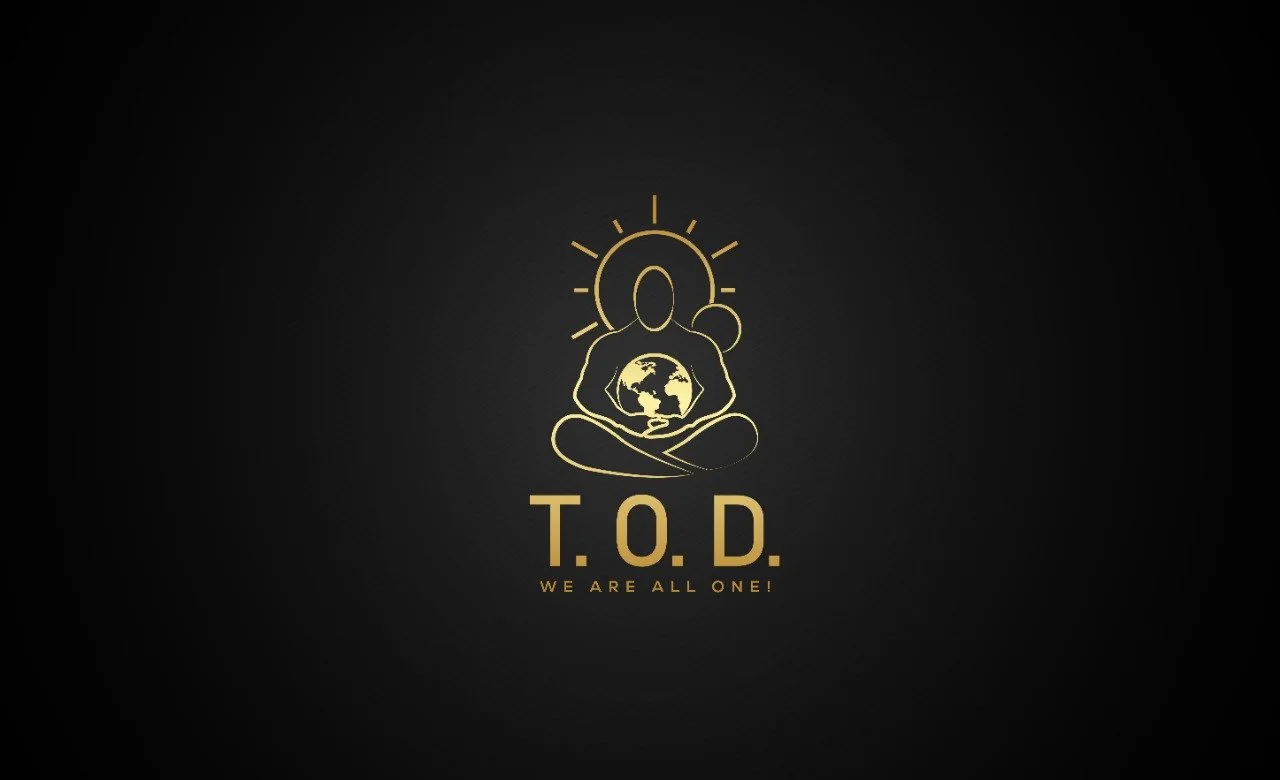Timoliverdreyer Logo