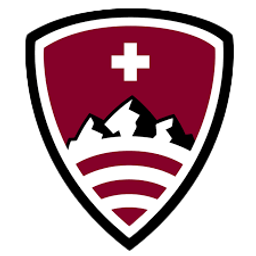 Travelers Wifi Logo