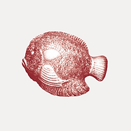 Trostwerk Bestattungen Logo