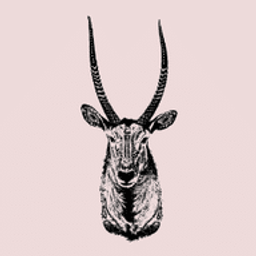 Tryde Andrés Logo