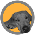 Tuinkussen Logo