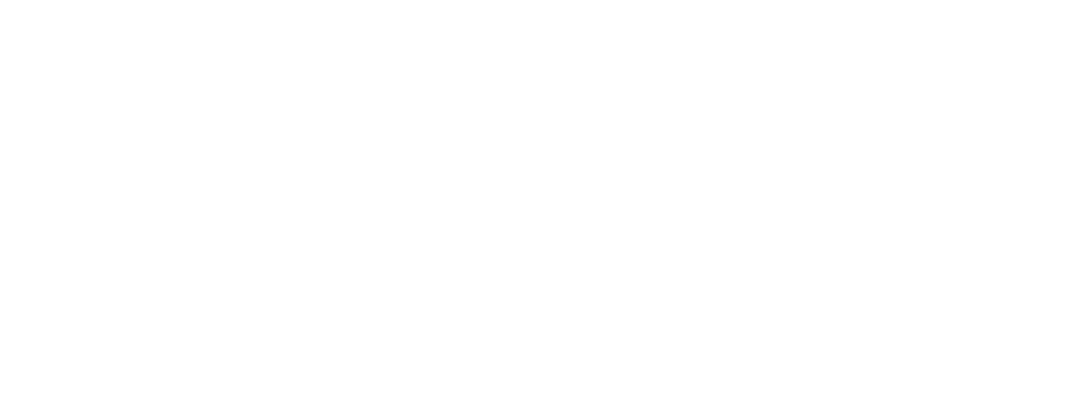 TW Steel Logo