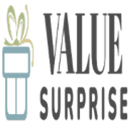 Valuesurprise Logo