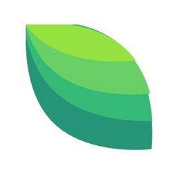 Vapo Logo