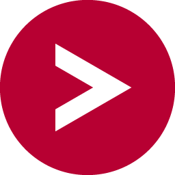 Vector Informatik Logo