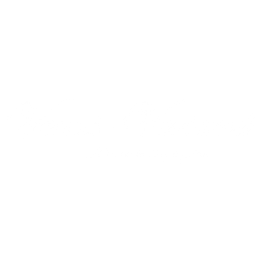 venus-versand Augsburg Logo