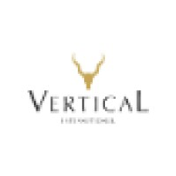 Verticalinternational Logo