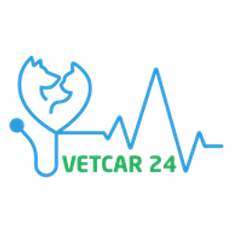 Vetcar24 Logo