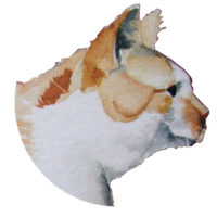 Löhden Barbara Dr. Praktischer Tierarzt, Mobile Kleintierpraxis Logo