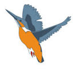 Vfr Flightsimmer Logo