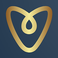 VI&CO Logo