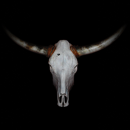 Vier für Texas GmbH & Co. KG Ideenwerk Design und Werbeagentur Logo