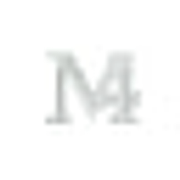 VINTAGEM4FIA Logo