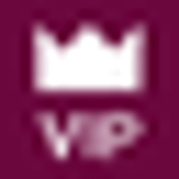 VIP Service Süd Logo