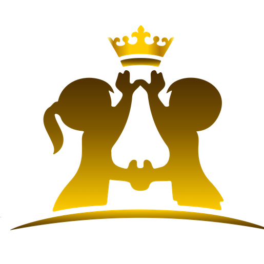 VIP Trips For Kids Ltd. Logo