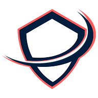 Visaguard Logo