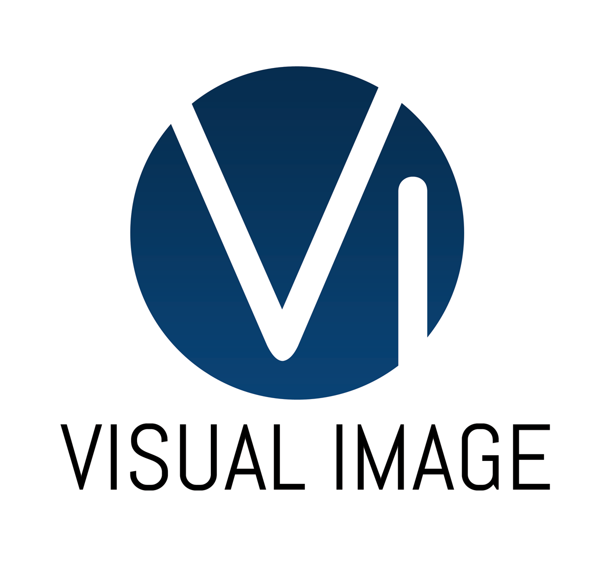 Visual Image Logo