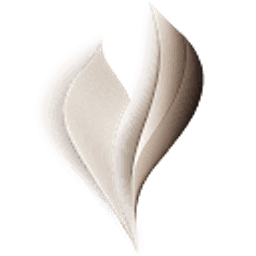 Vita Aesthetica Logo