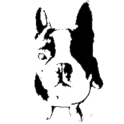 Der Schuh Laden Logo