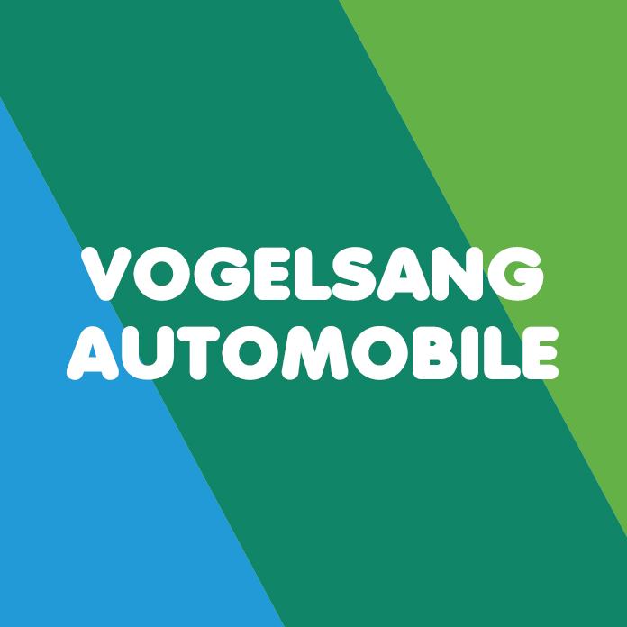 Vogelsang Automobile GmbH & Co. KG Logo