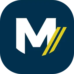 Volleyballmasterclass Logo