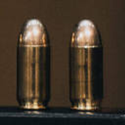 Waffen Munition Fritsche Logo