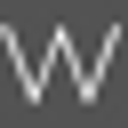 Walter Treuhand Logo