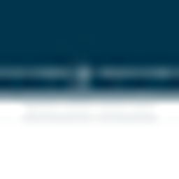 Waniek Partner Logo