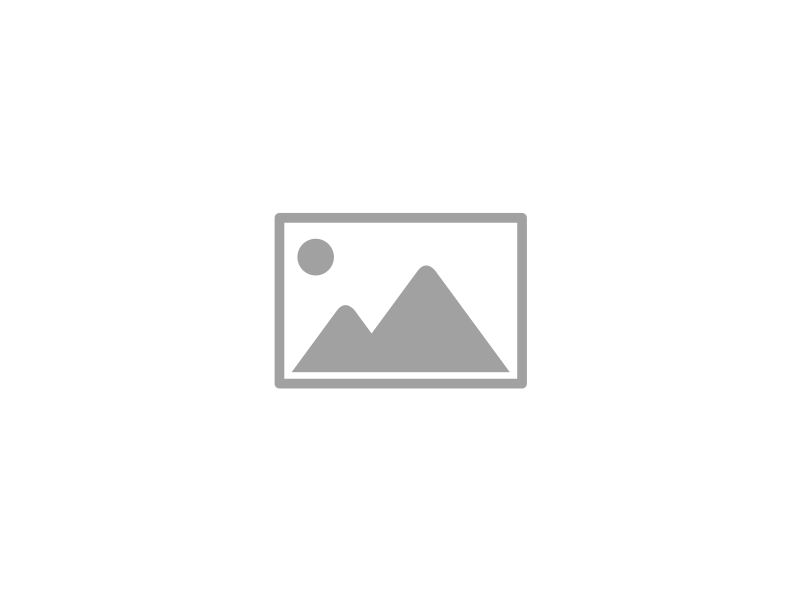 Wannsee Electronic Logo
