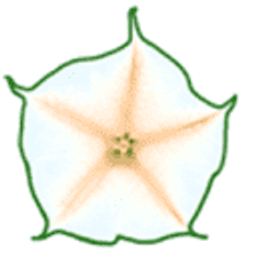 WeberSeeds Logo
