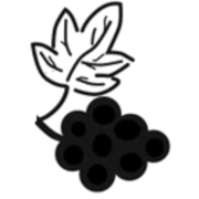Weingut Scherer Logo