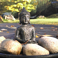 Massage und Wellness "Wellnest Logo