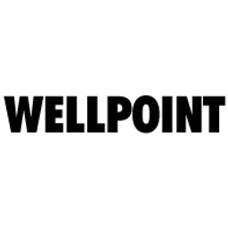 Wellpoint Gesellschaft für Grundwasserabsenkung mbH Logo