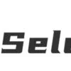 Weselect Logo
